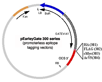 pEarleyGate 300 series vectors